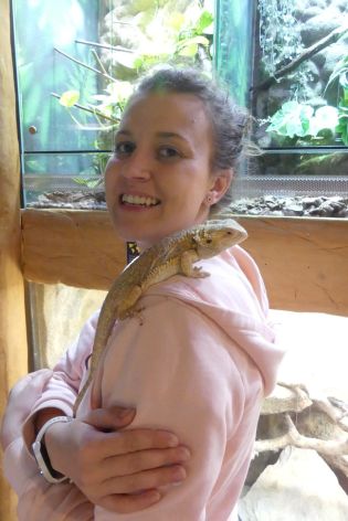 Fotografie p1180857_original.jpg