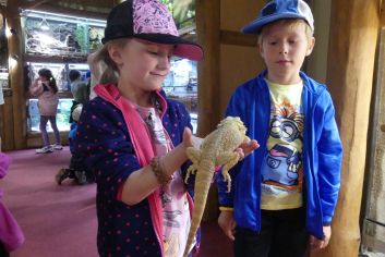 Fotografie p1180858_original.jpg