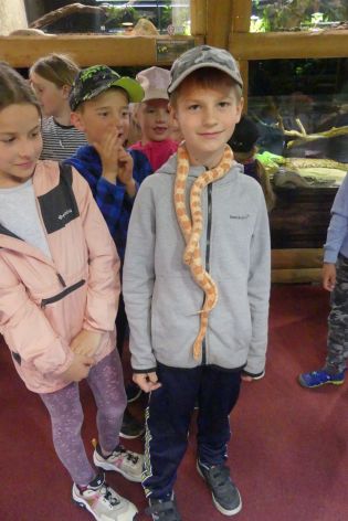 Fotografie p1180864_original.jpg