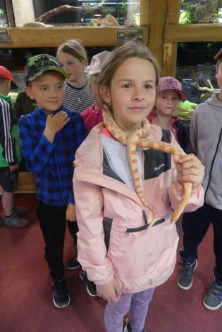 Fotografie p1180865_original.jpg