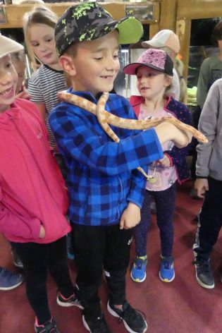 Fotografie p1180867_original.jpg