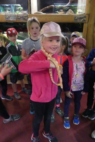 Fotografie p1180868_original.jpg