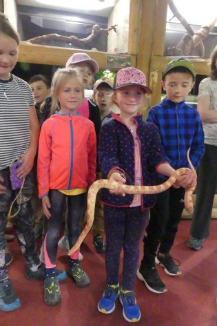 Fotografie p1180869_original.jpg