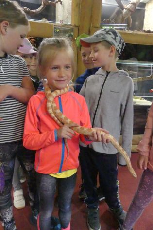 Fotografie p1180870_original.jpg