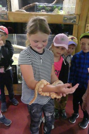 Fotografie p1180871_original.jpg