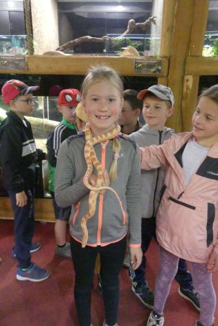 Fotografie p1180874_original.jpg