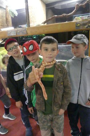 Fotografie p1180877_original.jpg