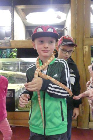 Fotografie p1180878_original.jpg