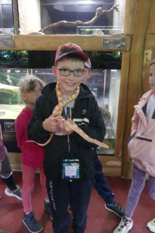 Fotografie p1180879_original.jpg