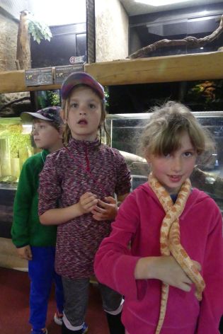 Fotografie p1180882_original.jpg