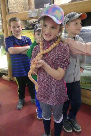 Fotografie p1180883_original.jpg