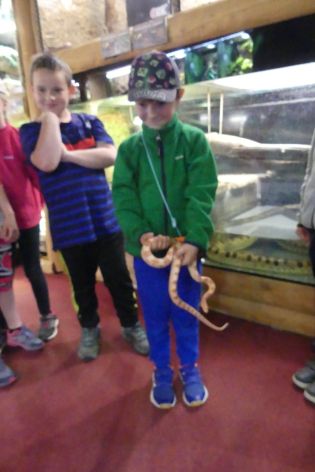 Fotografie p1180884_original.jpg