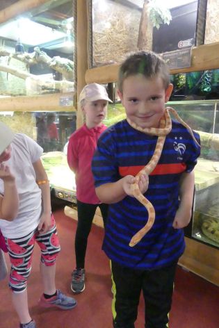 Fotografie p1180885_original.jpg