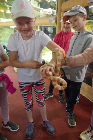 Fotografie p1180887_original.jpg