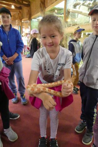 Fotografie p1180888_original.jpg