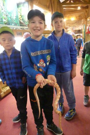 Fotografie p1180890_original.jpg