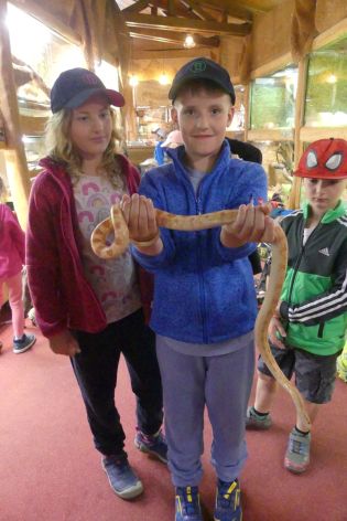 Fotografie p1180891_original.jpg