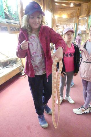 Fotografie p1180893_original.jpg