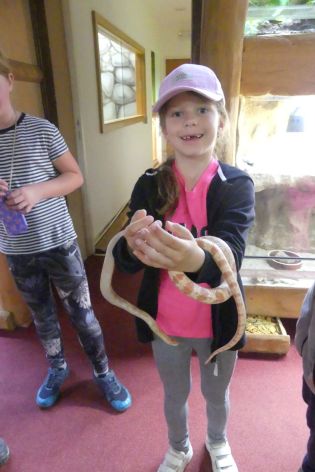 Fotografie p1180894_original.jpg