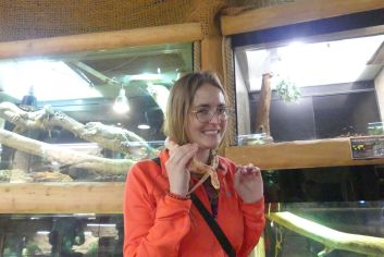 Fotografie p1180897_original.jpg