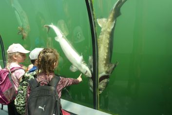 Fotografie p1180906_original.jpg