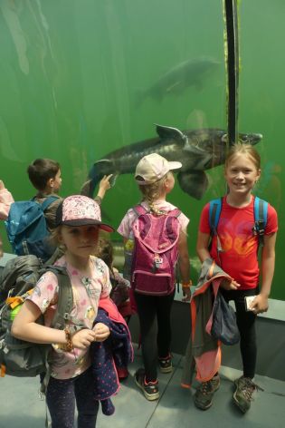 Fotografie p1180910_original.jpg