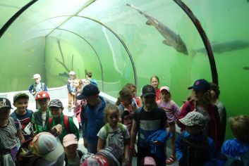 Fotografie p1180916_original.jpg