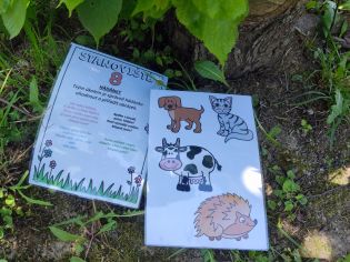 Fotografie img_20230601_113159_original.jpg