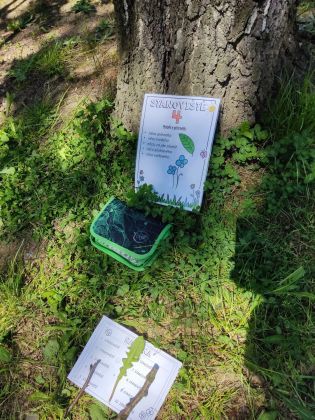 Fotografie img_20230601_113221_original.jpg