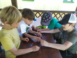 Fotografie 350832019_519300233608179_89709405493013_original.jpg