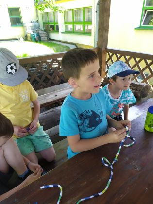 Fotografie 350892764_288672683493199_16030443483894_original.jpg