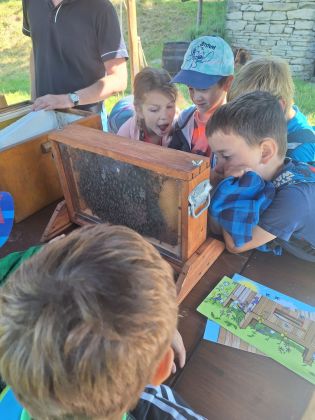 Fotografie 20230613_093940_original.jpg