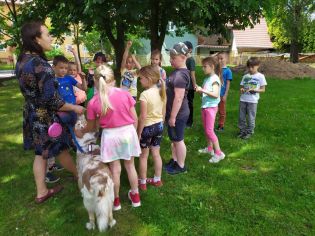 Fotografie 01-1686930937_original.jpg