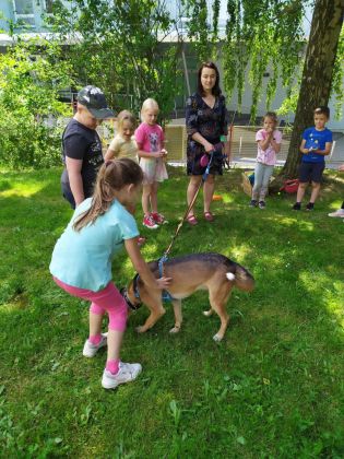 Fotografie 04-1686930952_original.jpg