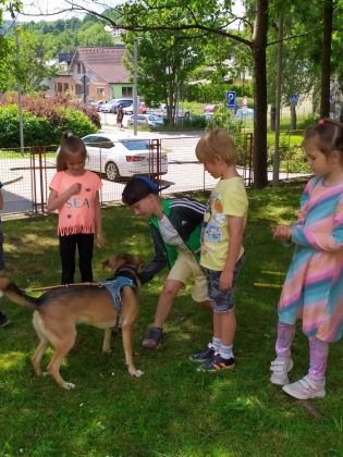 Fotografie 05-1686930950_original.jpg