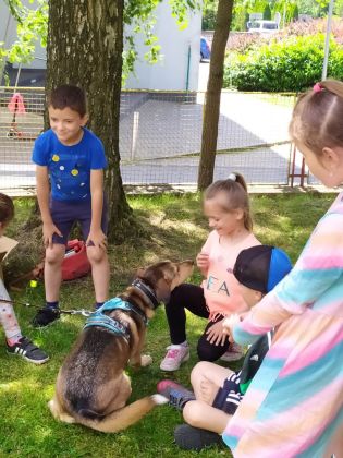 Fotografie 07-1686930945_original.jpg