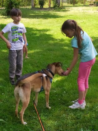 Fotografie 10-1686930967_original.jpg