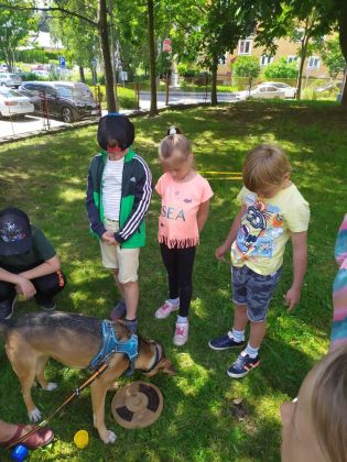 Fotografie 14-1686930980_original.jpg