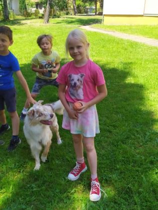 Fotografie 15-1686930977_original.jpg