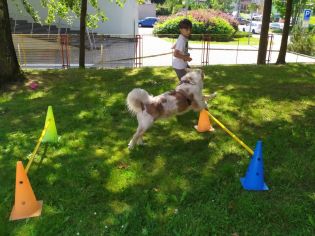 Fotografie 17-1686930973_original.jpg