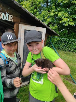 Fotografie img_20230616_111404_original.jpg