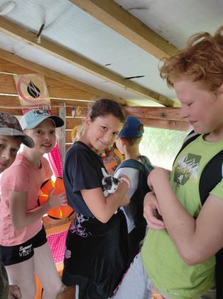 Fotografie img_20230616_111507_original.jpg