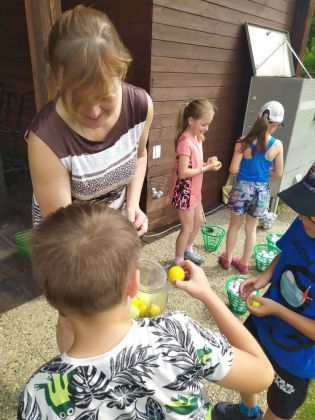 Fotografie img-20230621-wa0005_original.jpg