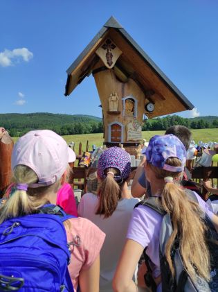 Fotografie img_20230626_100156_1_original.jpg