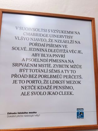 Fotografie img_20230627_092245_original.jpg