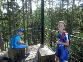 Fotografie p9120024_original.jpg