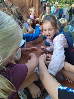 Fotografie img-20230920-wa0000_original.jpg