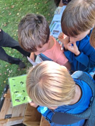 Fotografie img-20230920-wa0001_original.jpg