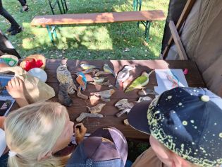 Fotografie img-20230920-wa0005_original.jpg