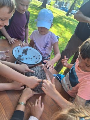 Fotografie img-20230920-wa0010_original.jpg